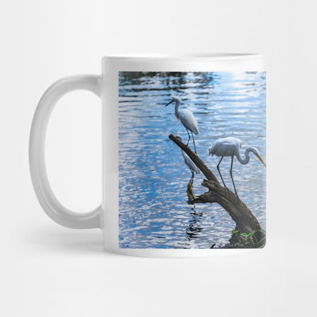 Great white egret and a Snowy egret by KensLensDesigns